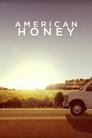 American Honey