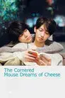 The Cornered Mouse Dreams Of Cheese
