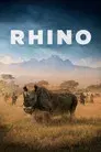 Rhino