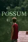 Possum