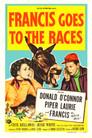 Francis en las carreras