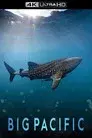 Big Pacific