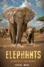 Elephants: Giants of the Desert