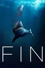 Fin