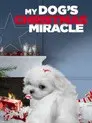 El milagro de Navidad de mi perro