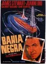Bahía negra