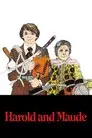 Harold y Maude