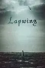 Lapwing