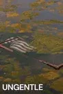 Ungentle