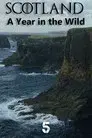 Scotland: A Year In The Wild