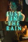 雨の中の慾情