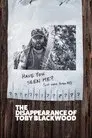The Disappearance of Toby Blackwood