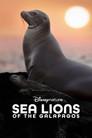 Los leones marinos de las Galápagos