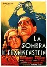 La sombra de Frankenstein