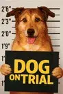 El juicio del perro