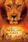 Grandes felinos africanos: el reino del coraje