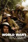 La Primera Guerra Mundial en color