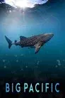 Big Pacific