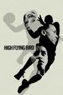 High Flying Bird
