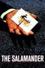 La salamandra roja