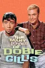 The Many Loves of Dobie Gillis