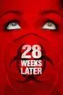 28 semanas después