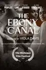 The Ebony Canal: A Story of Black Infant Mortality