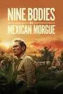 Nueve cuerpos