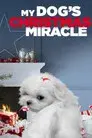 El milagro de Navidad de mi perro