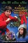 A Karate Christmas Miracle