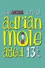 The Secret Diary of Adrian Mole Aged 13¾