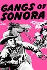 Gangs of Sonora