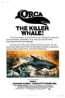 Orca, la ballena asesina
