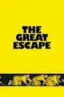 대탈출