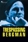 Descubriendo a Bergman