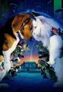 Como perros y gatos