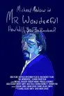 Mr. Wonderful