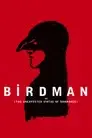 Birdman o (la inesperada virtud de la ignorancia)