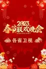 2023卫视春节联欢晚会