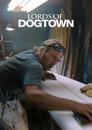 Los amos de Dogtown