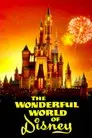 The Wonderful World of Disney