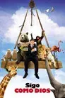 Sigo como Dios
