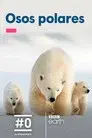 Osos polares