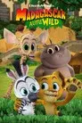 Madagascar: Pequeños salvajes