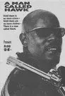 A Man Called Hawk