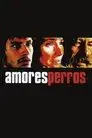 Amores perros