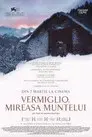 Vermiglio