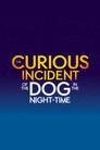The Curious Incident of the Dog in the Night-Time
