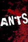 Hormigas