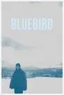 Bluebird